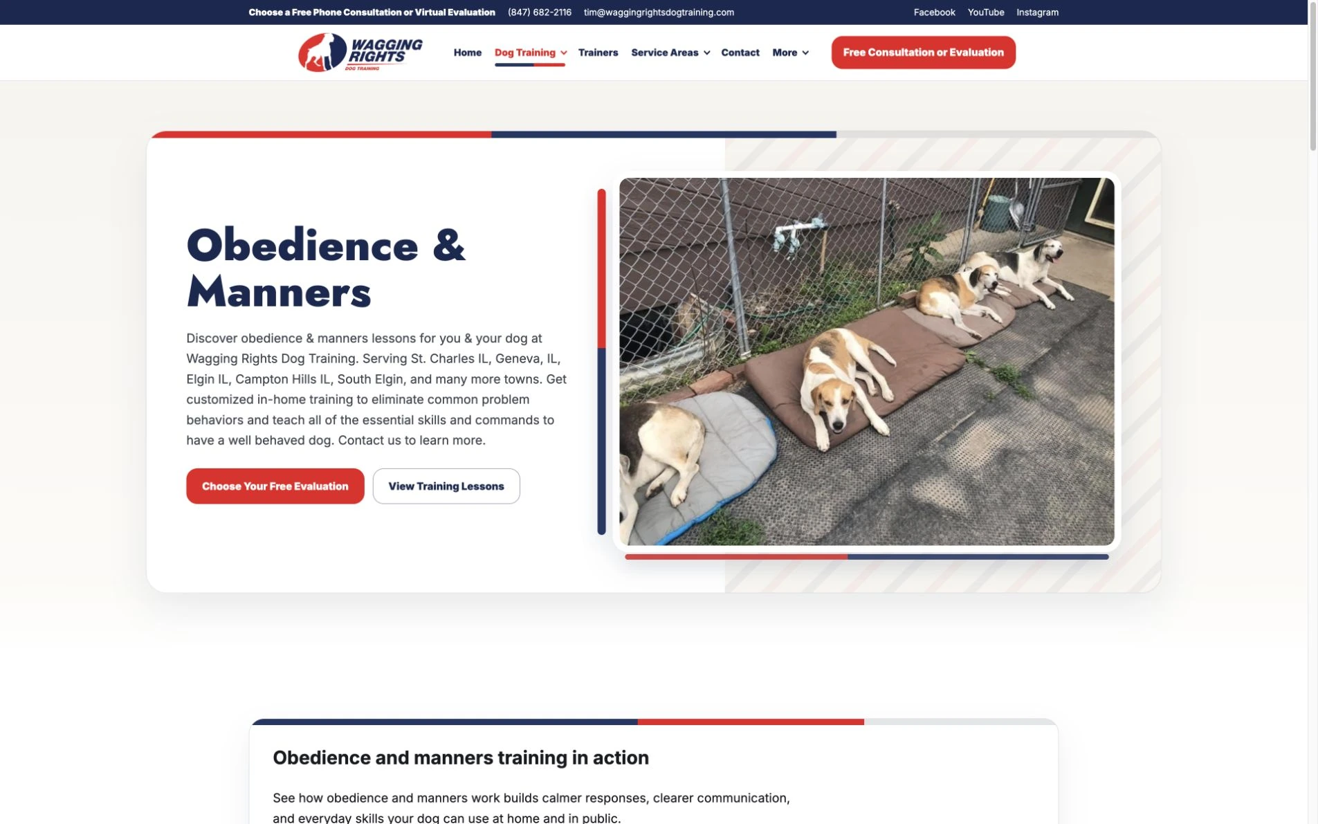 Wagging Rights Dog Training website: Give each training need its own explanation.